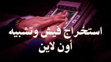 استخراج الفيش الجنائي أونلاين