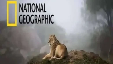 تردد قناة ناشيونال جيوغرافيك بيبول