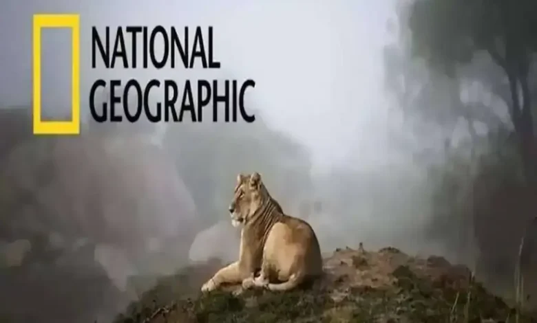 تردد قناة ناشيونال جيوغرافيك بيبول