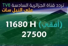 قناة مجانية تنقل مباراة مصر وبلجيكا