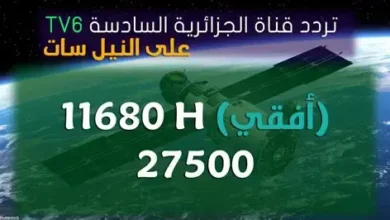 قناة مجانية تنقل مباراة مصر وبلجيكا